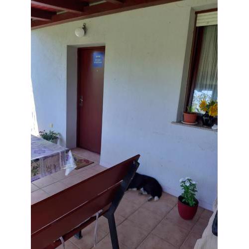 Apartment NATUR