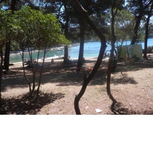 Apartment near lovely beach