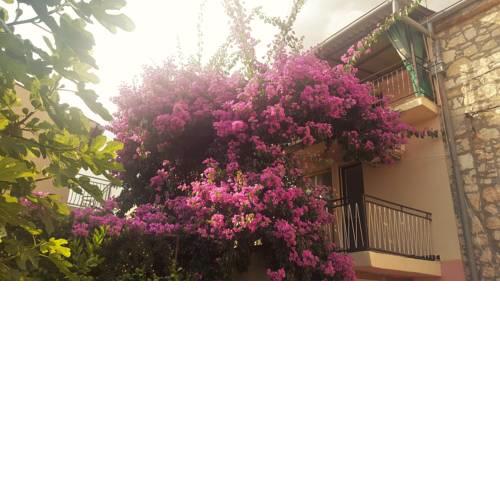 Apartment Nevenka