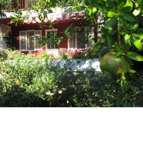 Apartment Petrović