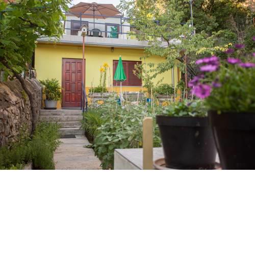 Apartment Pipo