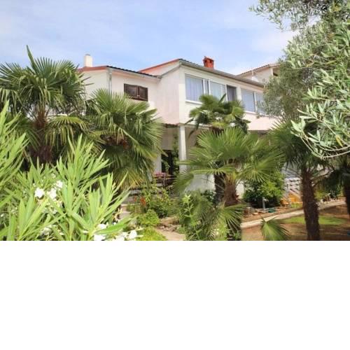 Apartment Plava Plaza (4382-1)