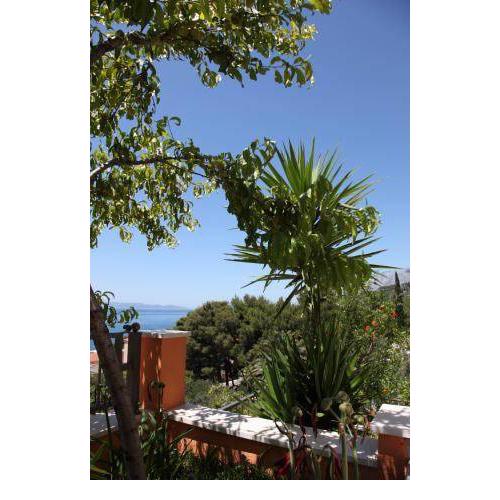 Apartment Podgora 1