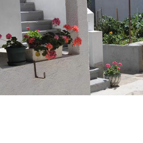 Apartment Preko 8179c