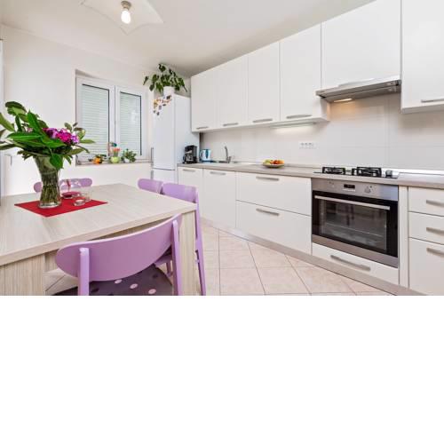 Apartment Rosa