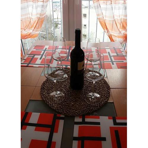Apartment Roza