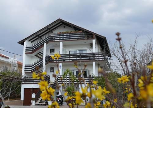 Apartment Ruza
