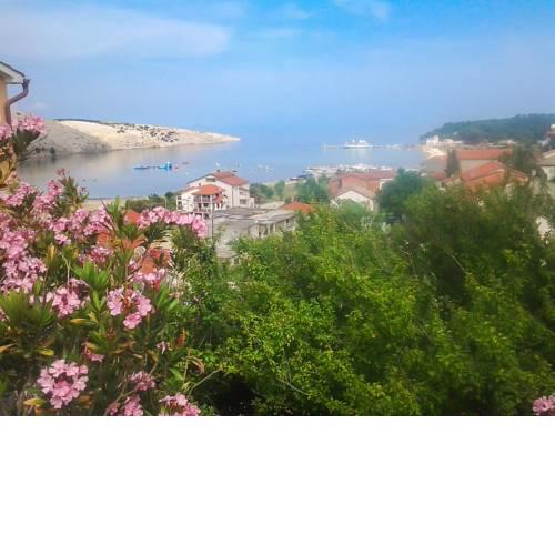 Apartment RUZA