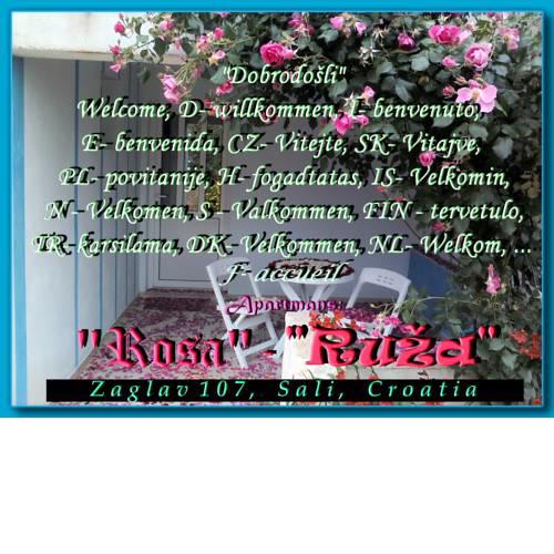 Apartment Ruza