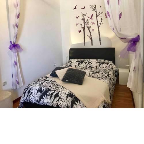 Apartment Santo Stefano (Center of Rovinj)