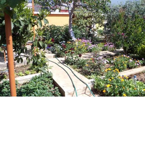 Apartment Seget Vranjica 4884b