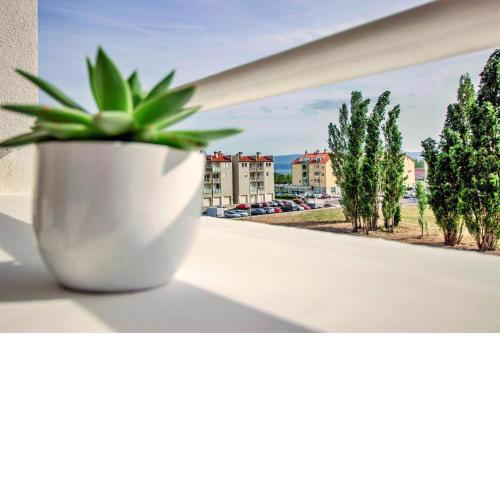 Apartment Silvana