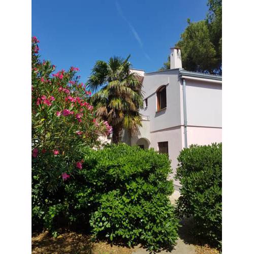 Apartment Soline