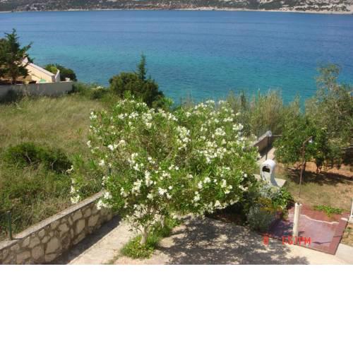 Apartment Stara Novalja 13938c