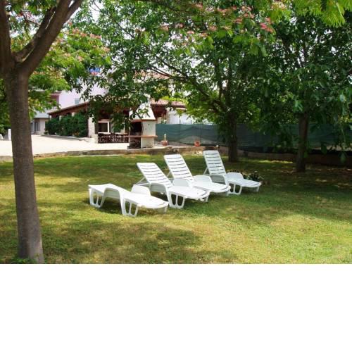 Apartment Sveti Filip i Jakov 14319d