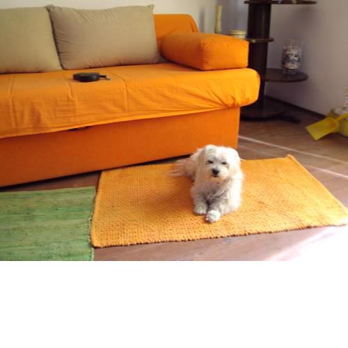 Apartment Toby