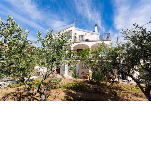 Apartment Vedran