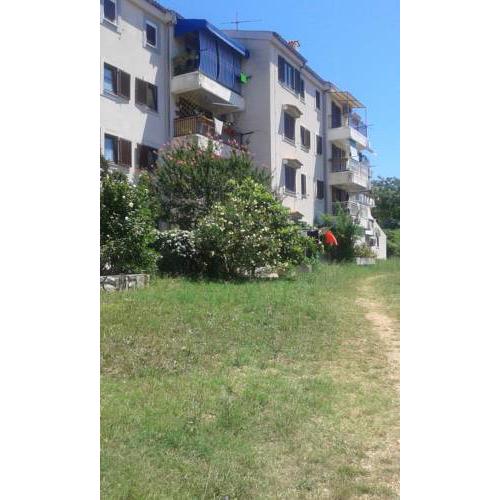 Apartment Veljko