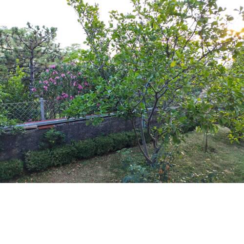 Apartment with private garden and terrace