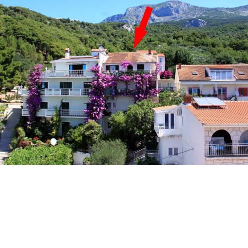 Apartments and rooms with parking space Podgora, Makarska - 6790