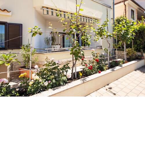 Apartments Andrea