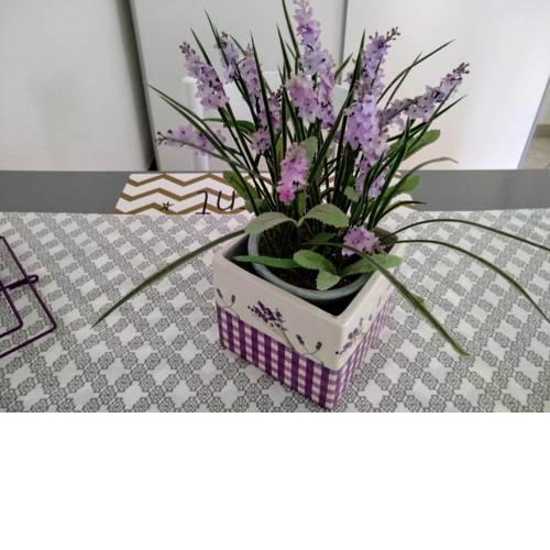 Apartments Anica