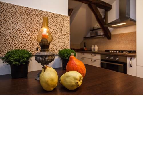 Apartments Budinscina