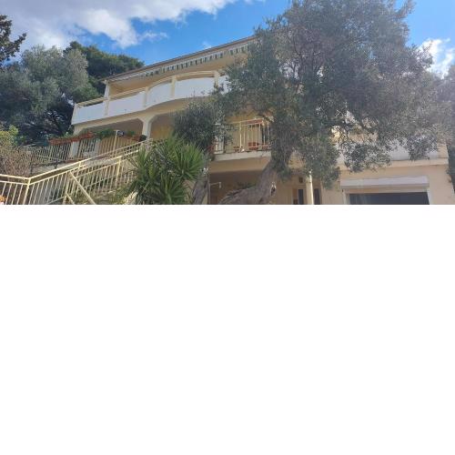Apartments by the sea Lun, Pag - 19358