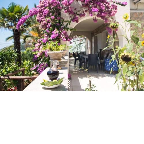 Apartments and rooms by the sea Molunat, Dubrovnik - 17143