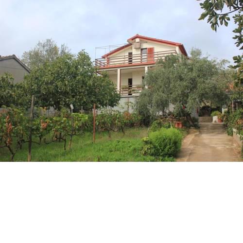Apartments by the sea Preko, Ugljan - 8522