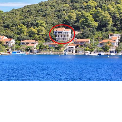 Apartments by the sea Zrnovska Banja, Korcula - 4443