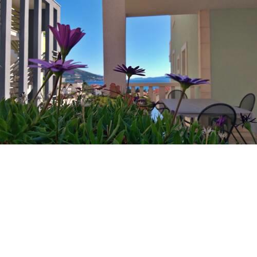 Apartments DaMa