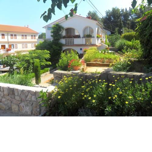 Apartments in Dobrinj/Insel Krk 31323