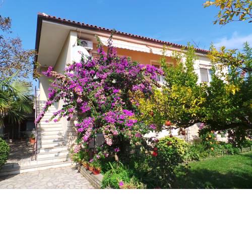 Apartments in Pomer/Istrien 31052