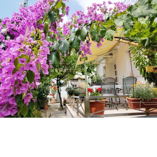 Apartments in Pula/Istrien 11378