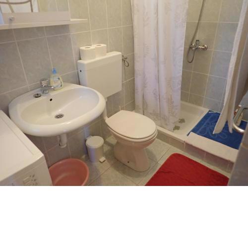 Apartments in Starigrad-Paklenica 41707