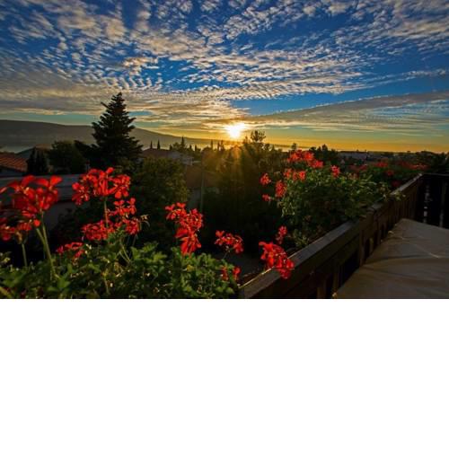 Apartments in Starigrad-Paklenica 6863