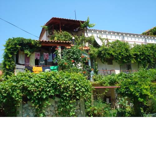 Apartments INES 1