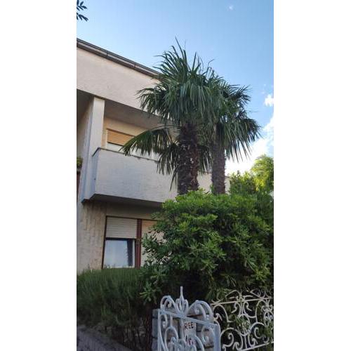 Apartments LARISA 1