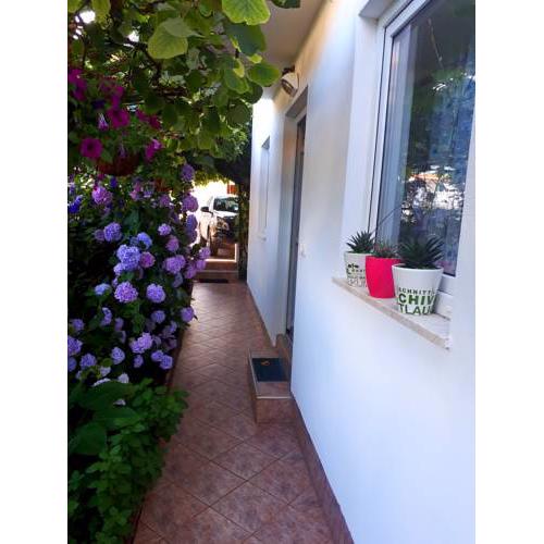Apartments Lea