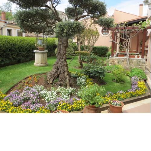 Apartments Mediteraneo