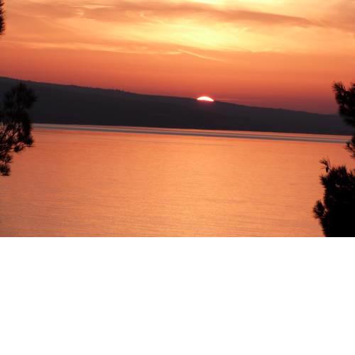Apartments Nedo Dalmatia