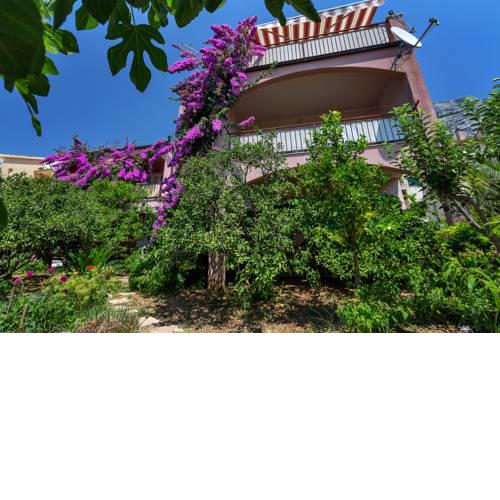 Apartments Roza