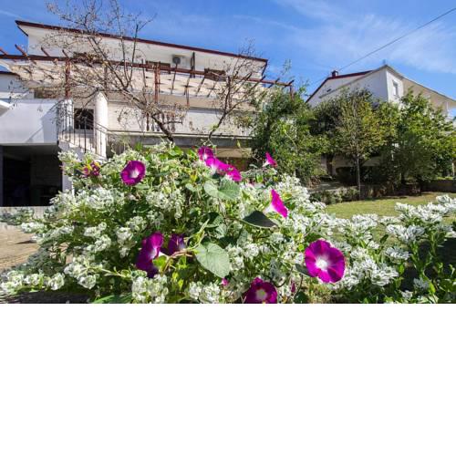 Apartments Seaview Starigrad Paklenica - CDN05021-CYC