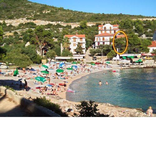 Apartments Tereza