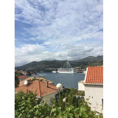 Apartments Vila Dana
