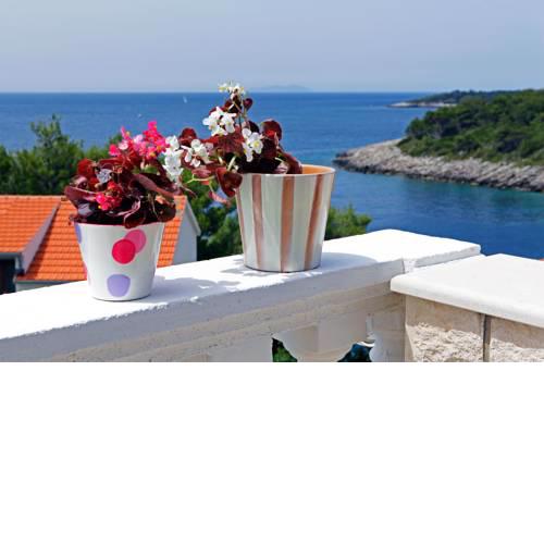 Apartments Villa Marijana