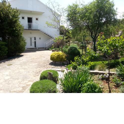 Apartments Vlade