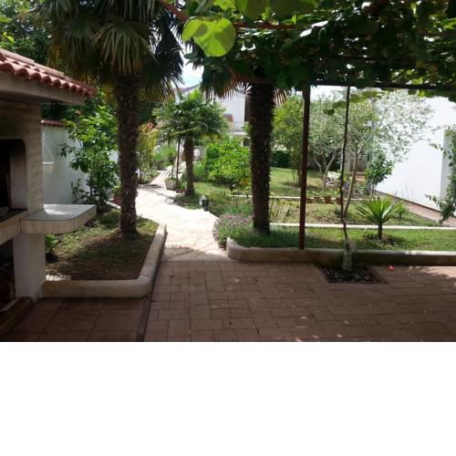 Apartments with a parking space Biograd na Moru, Biograd - 11150