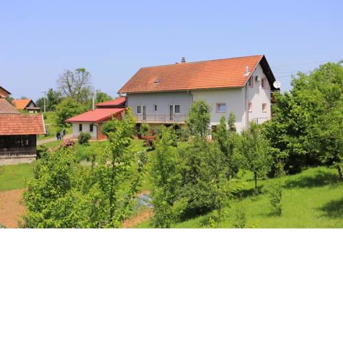 Apartments with a parking space Donji Cerovac (Karlovac) - 17482